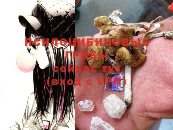 гашиш Михайлов