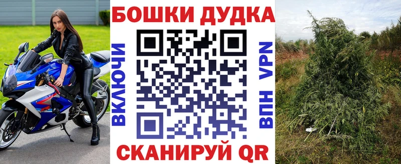 Шишки марихуана семена Алексеевка